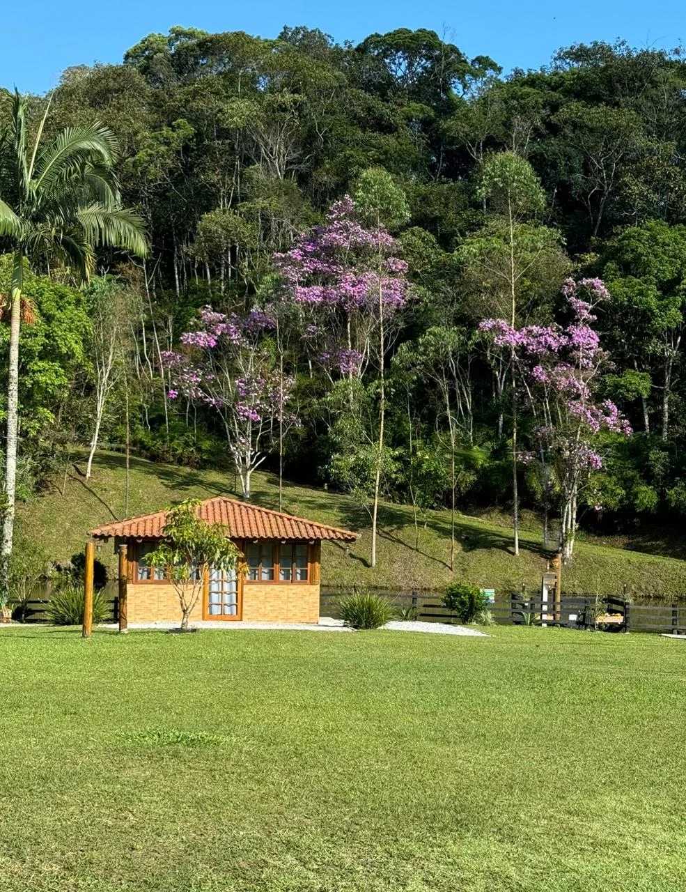 EXTERNA2