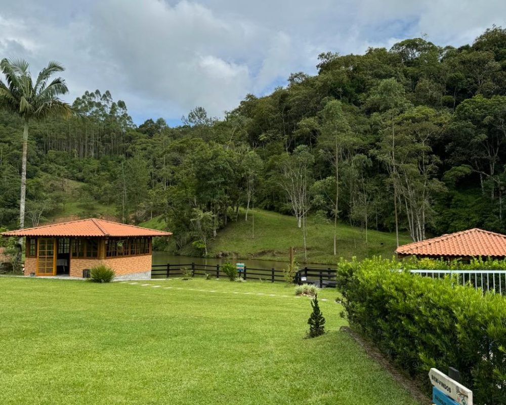 EXTERNA