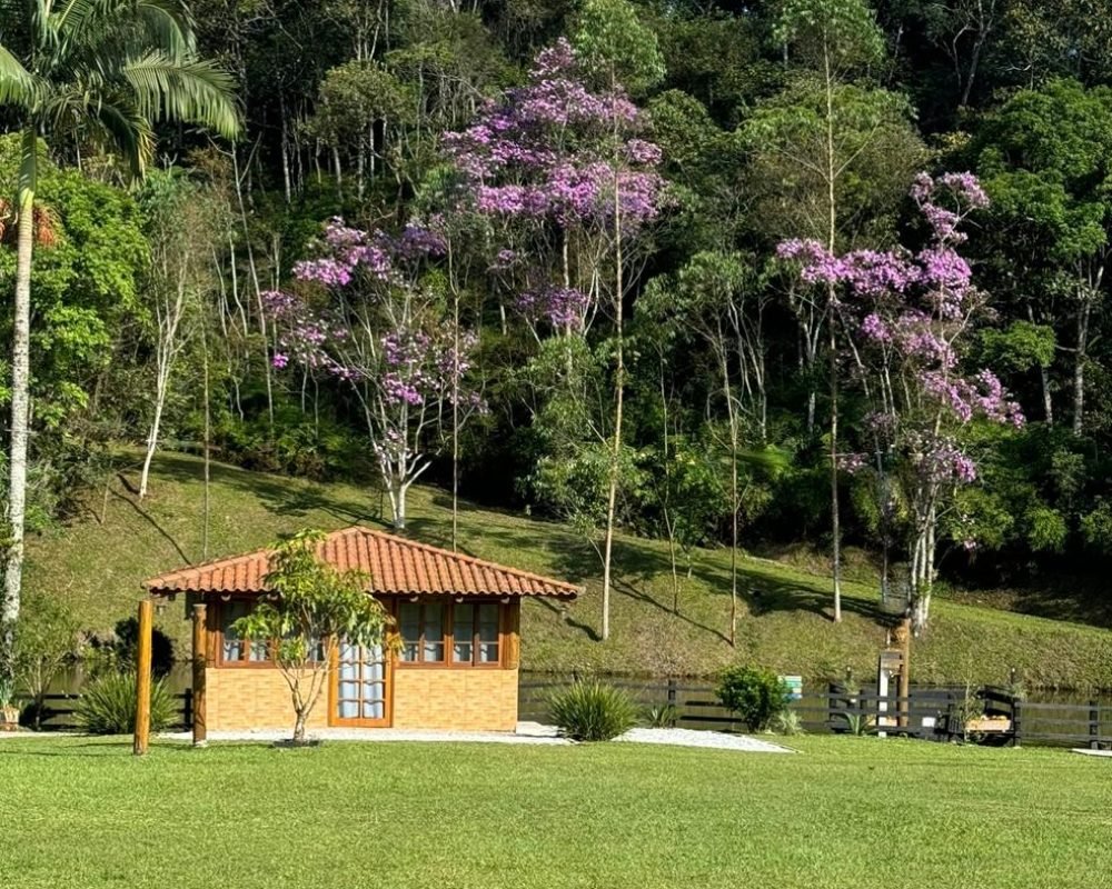 EXTERNA2