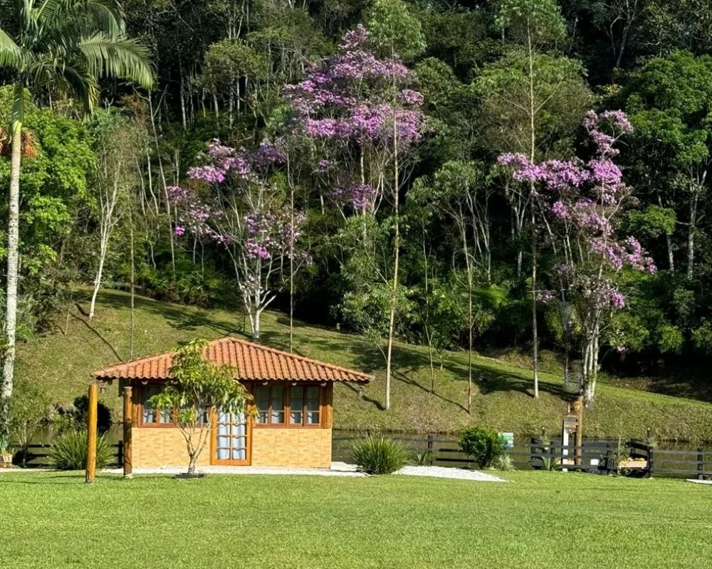 EXTERNA2